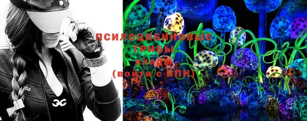 дурь Алексин