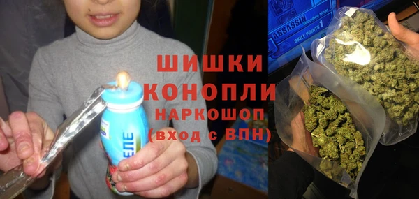 Альфа ПВП Аркадак